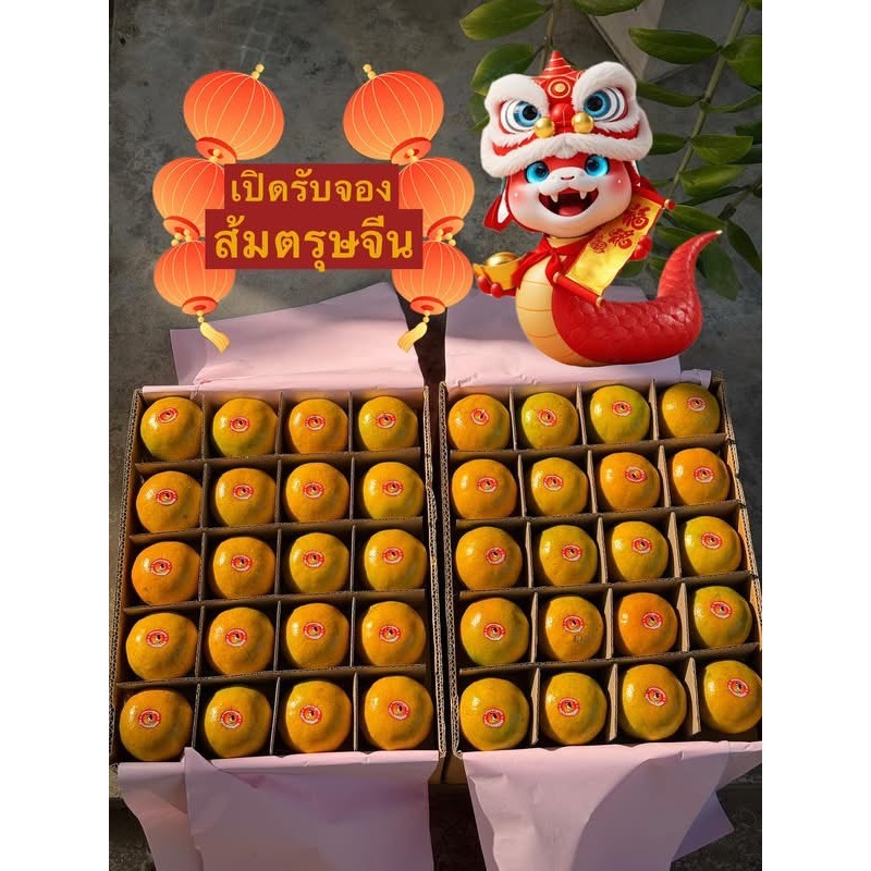 ส้มสายน้ำผึ้ง เกรดเอ จากสวนส้มพิกุลทอง
