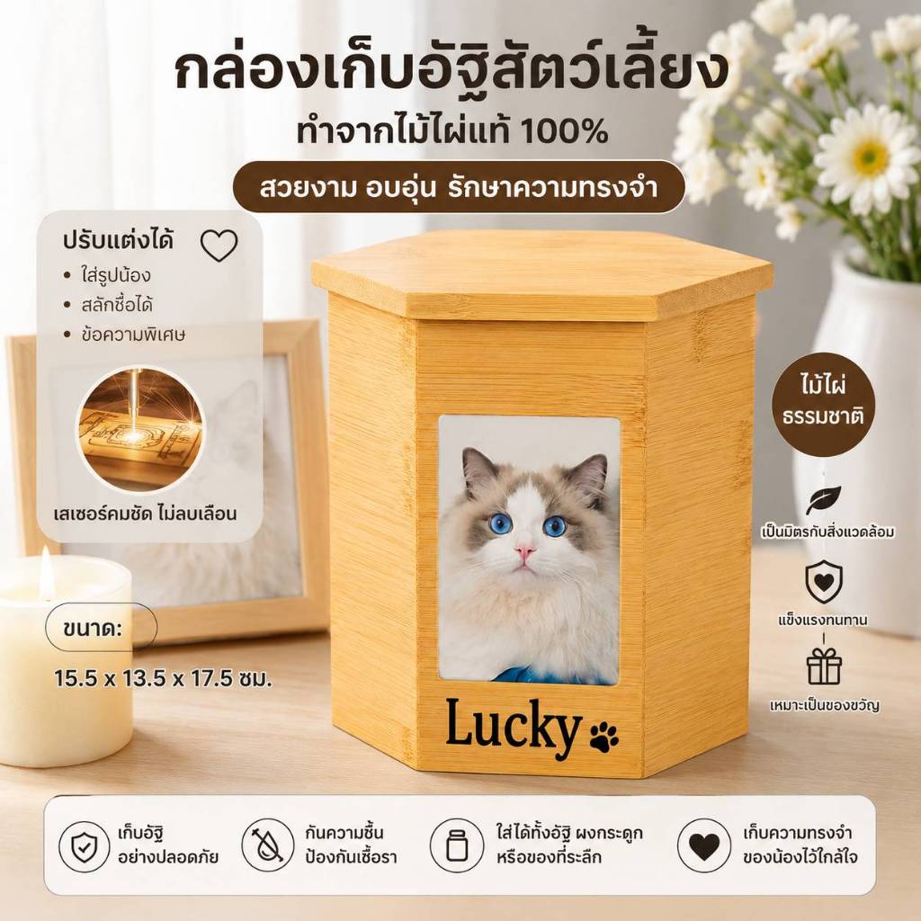 (ส่งฟรี) โกศไม้ทนทาน โกศสัตว์เลี้ยงสําหรับขี้เถ้าแมว โกศแมวสําหรับขี้เถ้าโกศสัตว์ สําหรับอาชีสัตว์เลี้ยงศพ