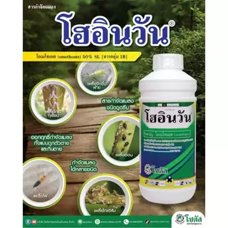 โฮอินวัน โอเมโทเอต โซตัส สารกำจัดแมลง ขนาด 5 ลิตร เพลี้ยไก่แจ้ เพลี้ยไก่แจ้ส้ม เพลี้ยจักจั่นฝ้าย เพลี้ยอ่อน เพลี้ยไฟ