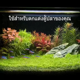 พืชน้ําพิพิธภัณฑ์สัตว์น้ําประดิษฐ์จําลองพืชถังปลาน้ําหญ้าตกแต่งซัพพลาย (1 ชิ้น)