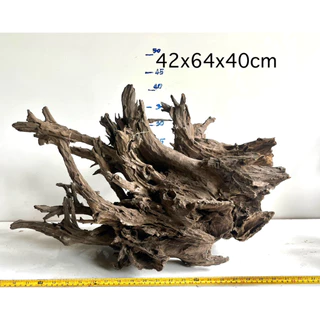ไม้จมแม่น้ำ เนื้อเเข็ง เนื้อแน่น และสวยงาม driftwood display