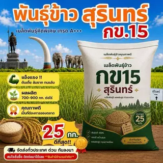 เมล็ดพันธุ์ข้าว กข.15 พันธุ์ข้าวหอมมะลิ(เบา)เก็บเกี่ยวใน 3 เดือน อัตราการงอกสูง ระยะสั้น ยกกระสอบ 25 กก. ราคาส่ง
