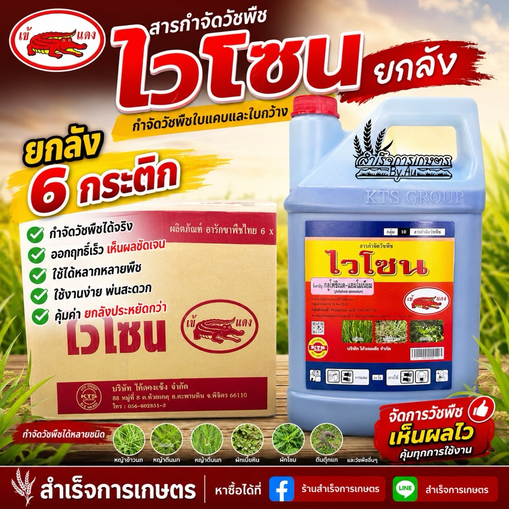 (ไวโซน 4ลิตร ยกลัง (มี6กระติก) ชื่อสามัญกลูโฟซิเนต แอมโมเนียม