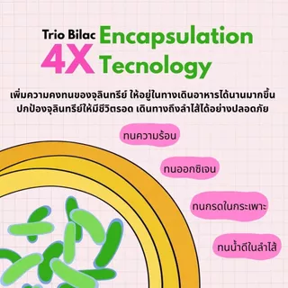 Petholic Probiotic Prebiotic สำหรับสุนัขและแมว