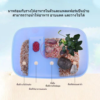 แทงค์เลี้ยงเต่า คุณภาพดี อ่างเลี้ยงเต่า กระบะเลี้ยงเต่า สำหรับเต่าน้ำ เต่าญี่ปุ่น มีหลายแบบ