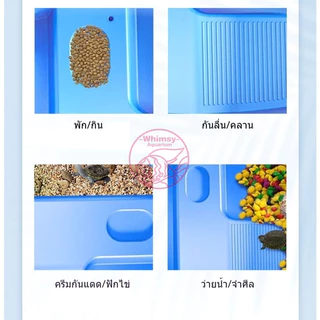 แทงค์เลี้ยงเต่า คุณภาพดี อ่างเลี้ยงเต่า กระบะเลี้ยงเต่า สำหรับเต่าน้ำ เต่าญี่ปุ่น มีหลายแบบ