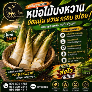 หน่อไม้บงหวานเพรชน้ำผึ้ง(ส่งใน1-2วัน)กินสดได้ ไม่มีไซยาไนด์ ไม่มียูริก เป็นเกาต์ทานได้ หวานกรอบจากธรรมชาติไม่ใช้ปุ๋ยเคมี