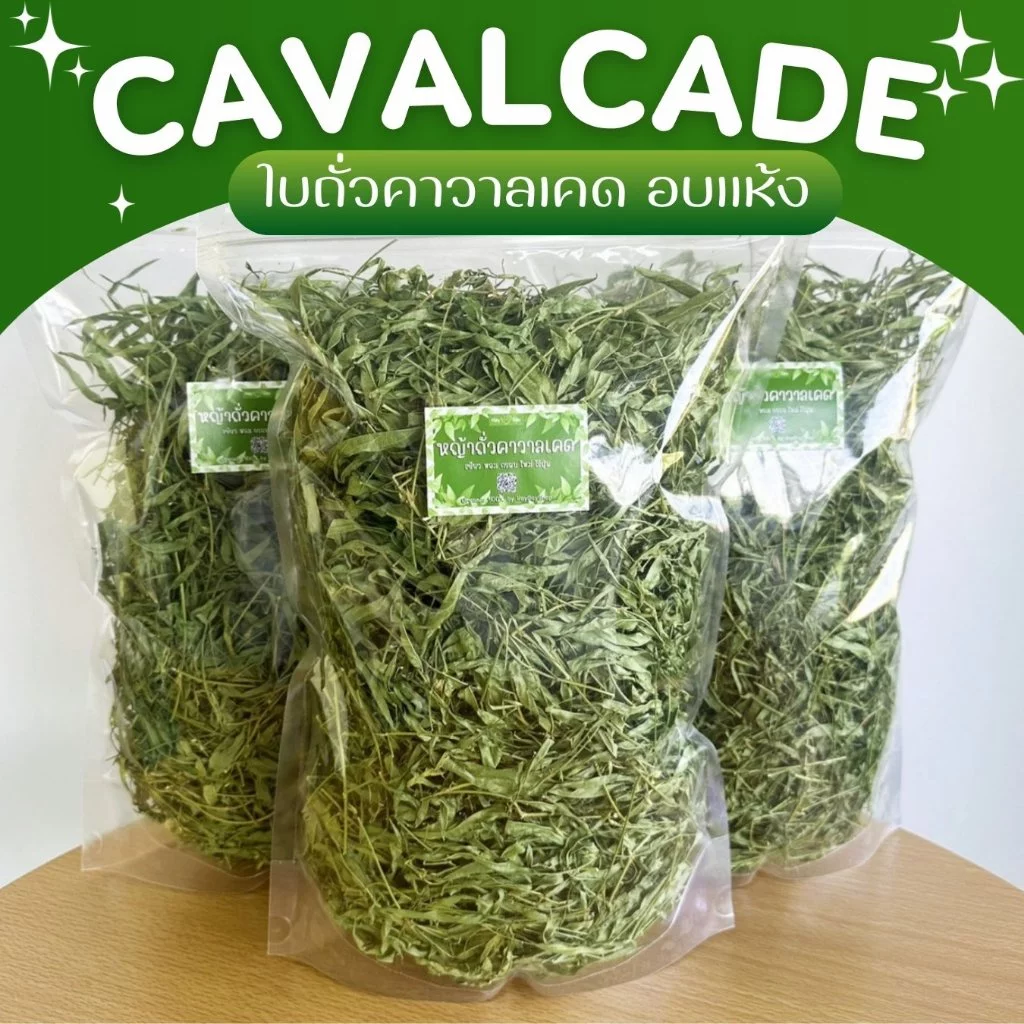 ✿ใบถั่วคาวาลเคด✿ Cavalcade อบใหม่ คัดเกรดพิเศษ พรีเมี่ยม สำหรับกระต่ายและสัตว์ฟันแทะทุกชนิด
