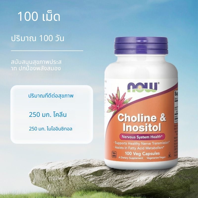 จัดส่งตอนนี้ EXP: 2028 USA Direct Mail NOW Foods Choline & Inositol Choline และ Inositol 250mg * 100