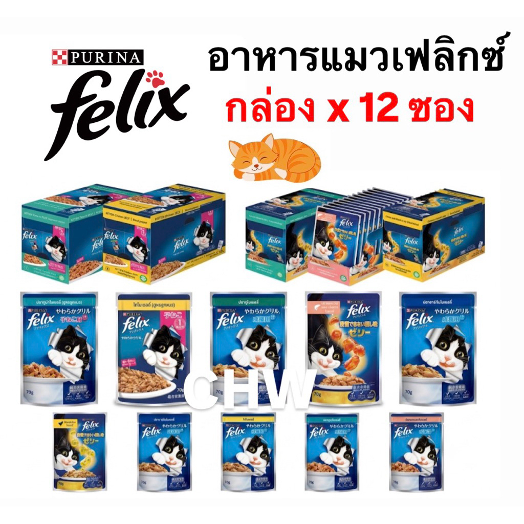 (ยกกล่อง 12 ซอง) Felix เฟลิกซ์ อาหารแมวแบบเปียกครบทุกสุตร