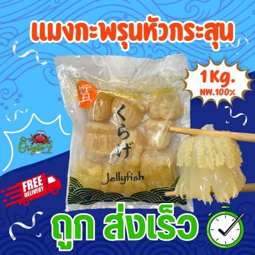 แมงกะพรุนหัวกระสุน❗[ สินค้าพร้อมส่งในไทย ]  ขนาด 1 กิโลกรัม