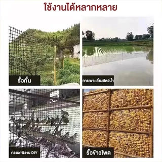 ตาข่ายล้อมไก่ HDPE ตาข่ายพลาสติก รู 2ซม./3.5ซม. สูง 1ม./1.2ม. ยาว 10/25/50ม. กันนก รั้วสวน