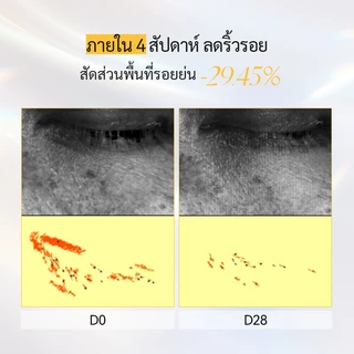 Spring Letter เช้า C เย็น A ชุดเซรั่ม ฟื้นฟูเกราะผิว กระชับผิวลดริ้วรอย ต้านอนุมูลอิสระ กระจ่างใส