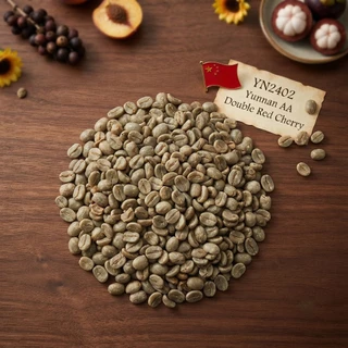 สารกาแฟ/เมล็ดกาแฟดิบ/Green bean (YN2402) ยูนาน/จีน/China Yunnan AA Double Red Cherry- 1 Kg