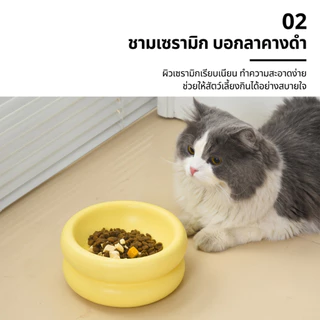 ALLYS ชามอาหารแมวเซรามิกสองชั้น ชามข้าวแมว ชามน้ำแมว ป้องกันสิวแมว ทรงสูงไม่ก้มมาก เซรามิกแท้ ปลอดสารตะกั่ว