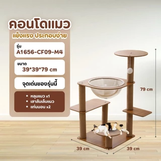 [Bratvee] Cat Condo คอนโดแมว มีหลุมอวกาศ ที่ลับเล็บ คอนโดแมว ขนาดกระทัดรัด สำหรับแมว 1-2 ตัว