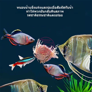 หนอนแดงฟรีซดราย อาหารปลาแห้ง หนอนอบแห้ง Freeze Dried อาหารลูกปลาทอง ปลากัด ปลาหางนกยูง ปลาบอลลูน