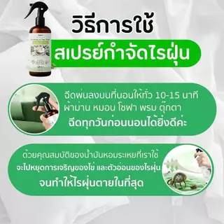 สเปรย์กำจัดไรฝุ่น Anti Mite Spray กำจัดป้องกันไรฝุ่น ฆ่าเชื้อ ปลอดภัยเด็กสัตว์เลี้ยง ที่นอน หมอน โซฟา 310มล. พร้อมส่งไทย