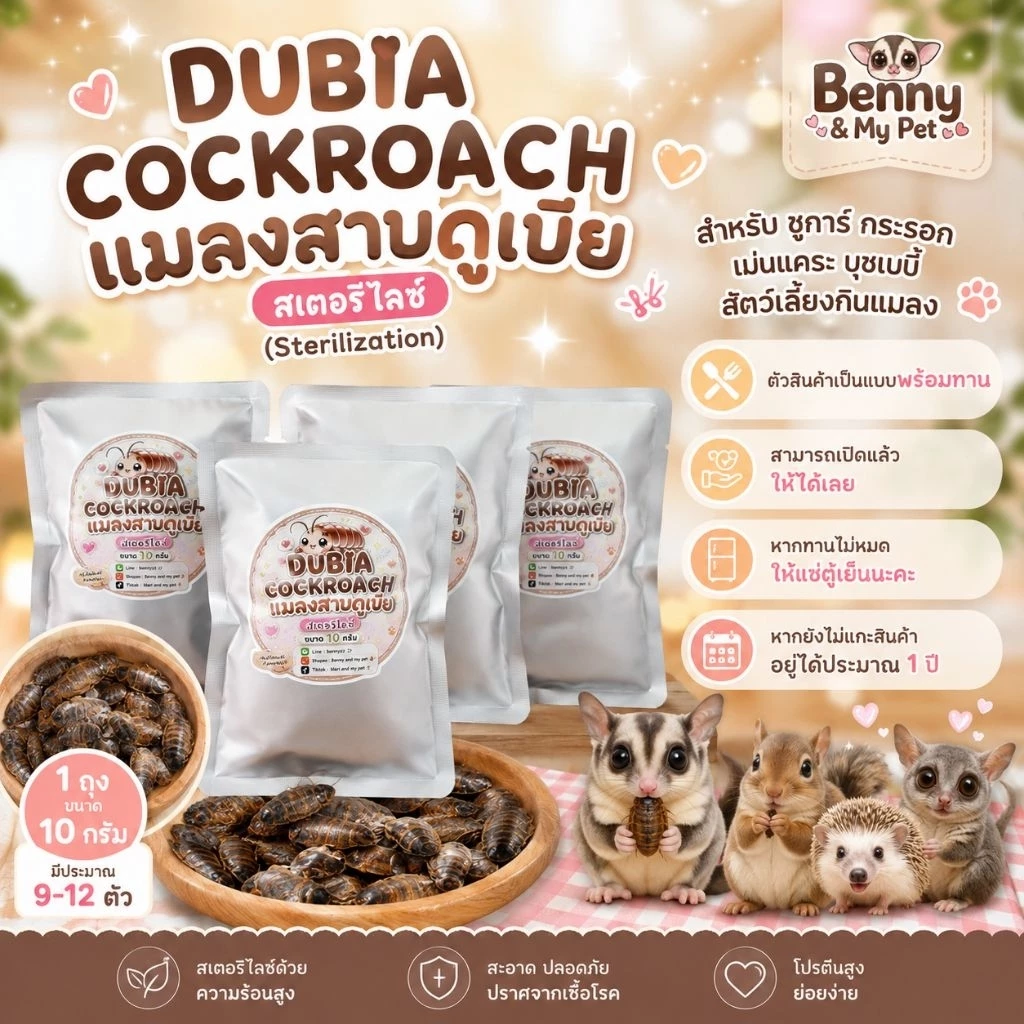 DUBIA COCKROACH แมลงสาบดูเบีย สเตอริไลซ์ (Sterilization) แมลงสำหรับ ชูการ์ กระรอก เม่นแคระ บุชเบบี้ สัตว์เลี้ยงกินแมลง
