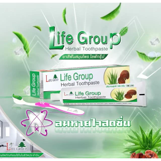 ยาสีฟันสมุนไพร Life Group 160 กรัม ผสมเห็ดหลินจือและว่านหางจระเข้