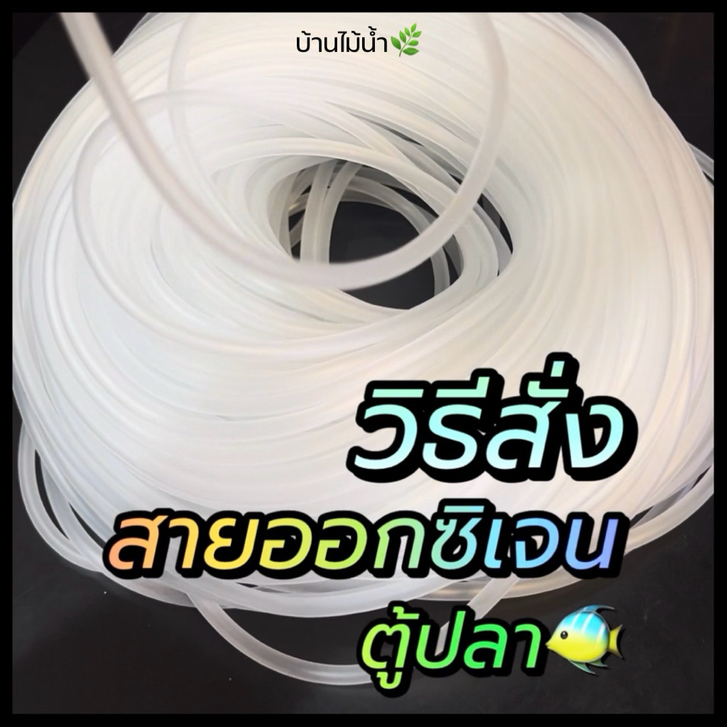 สายออกซิเจน 4/6mm สายซิลิโคน สายยาง Aquarium air tubing ปั๊มลม ปั๊มออกซิเจน ตู้ปลา ตู้ไม้น้ำ | บ้านไม้น้ำ🌿