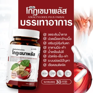 โกฐเขมาฟ้าใส บำรุงข้อเข่า กระดูกทับเส้น แก้ปวดเมื่อยร่างกาย เหน็บชา : 1 กระปุก
