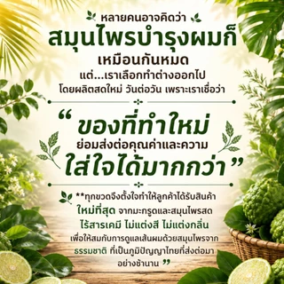 สูตรโบราณไร้สารเคมี มะกรูดสมุนไพรสด ORGANIC 500ml ลดคัน แชมพูลดผมร่วง ลดรังแค หมักผม นวดผม,ของขวัญวันแม่