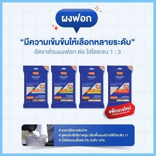 Lolane โลแลน ฟอกสีผม กัดสีผม 15 g