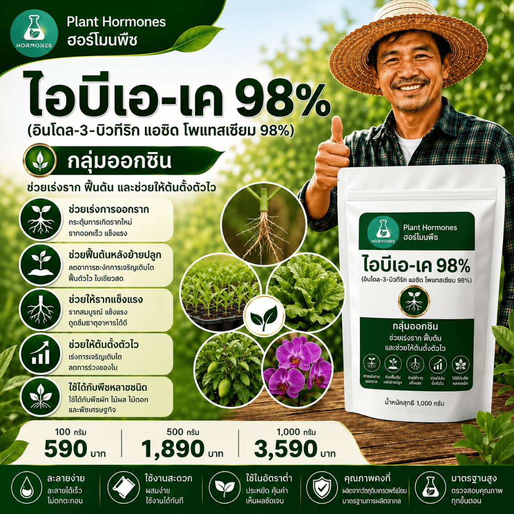 IBA-K 99% (indol-3-ylbutyric acid)100 กรัม #IBA 99% #เร่งราก #ฮอร์โมนเร่งราก #ไอบีเอ #ฮอร์โมนพืช
