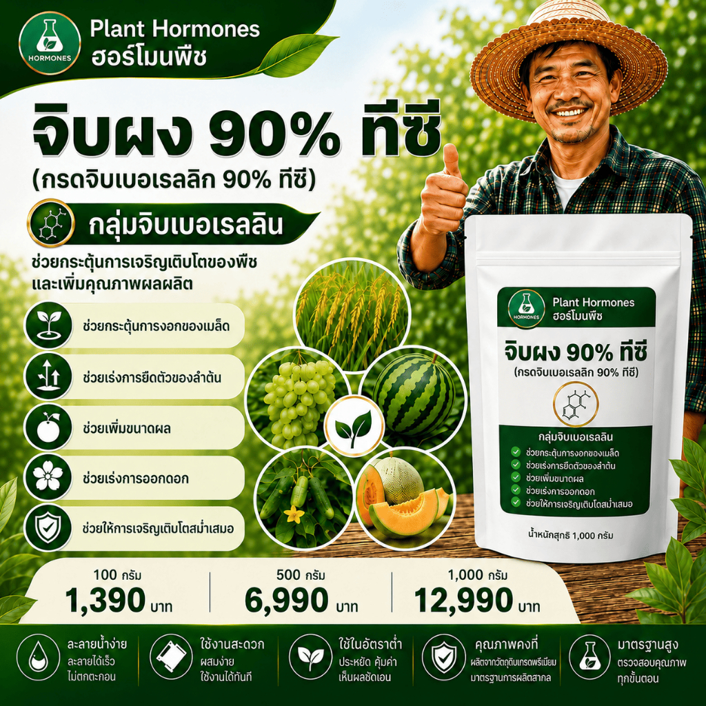 จิบเบอเรลลิน 90% #(GA3 Gibberellic Acid Berelex 90%) ( ชนิดผง )100กรัม