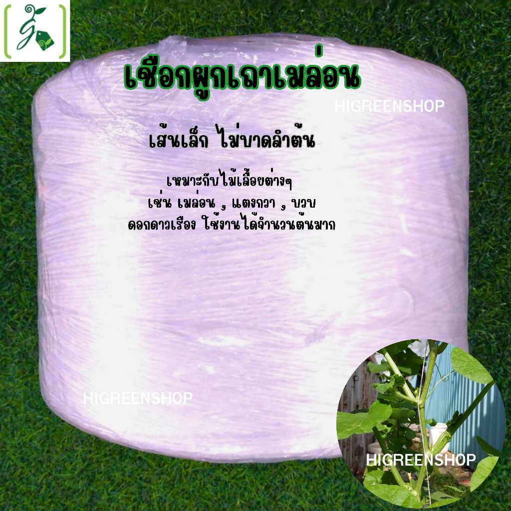 เชือกผูกเถาเมล่อน 1 ม้วน (ความยาวประมาณ 2300-2400 เมตร)