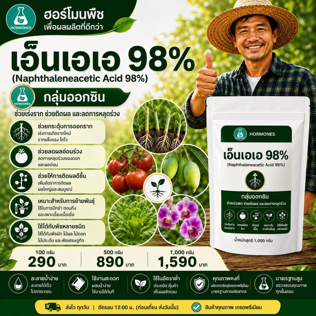 NAA 98% TC (1-Naphthalene acetic acid) 1000 กรัม #เอนเอเอ ผง #เอนเอเอ