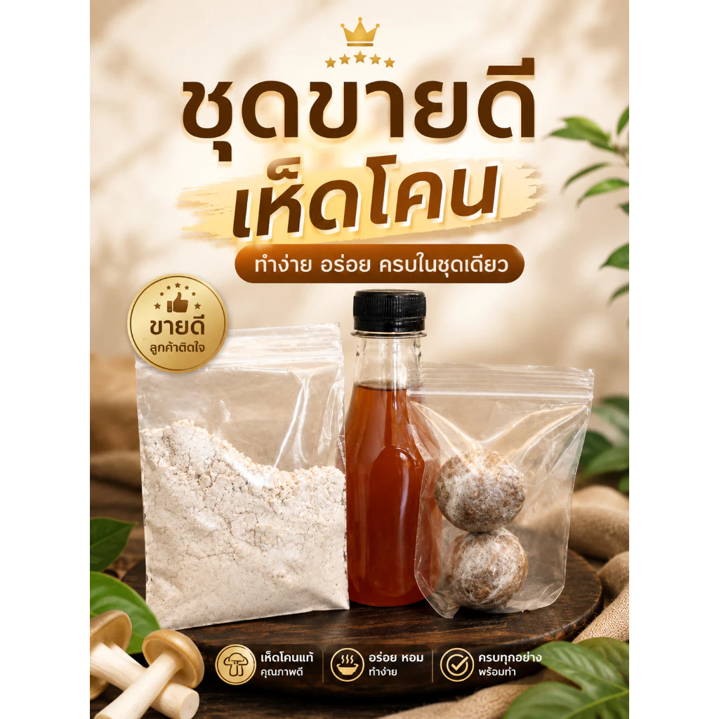 เห็ดโคนพร้อมขยายพันธุ์ เชื้อดี ปลูกง่าย มือใหม่ก็ทำได้
