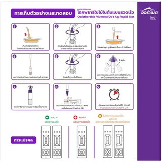 ชุดตรวจโรคพยาธิใบไม้ในตับทางปัสสาวะ Opisthorchis viverrini (OV) Auramed ออร่าเมด มะเร็งท่อน้ำดี