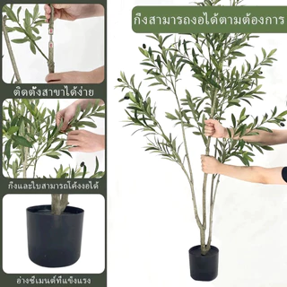 🌿จัดส่ง 24🌿 ชมความจำลอง 99% ต้นโอลีฟ ต้นมะกอกปลอม สไตล์นอร์ดิกอิน ลำต้นสีน้ำตาลเหมือนของจริง