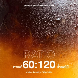 Concentrate Cold Brew คั่วกลาง (Caramel) ชงได้ 8-16 แก้ว กาแฟสูตรเข้มข้น อาราบิก้า 100%
