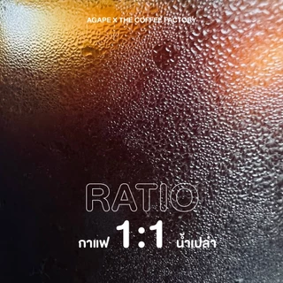 Concentrate Cold Brew คั่วอ่อน (Strawberry) ชงได้ 5-10 แก้ว กาแฟสูตรเข้มข้น อาราบิก้า 100%