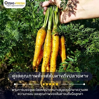 🛒Oishi-Fresh🥕เบบี้แครอท 3 สี ปลอดสารพิษ 1 กก. รสชาติกรอบ สด ใหม่ ใยอาหารสูง หวานออร์แกนิค ผัก เคลมได้ 1-2 วัน