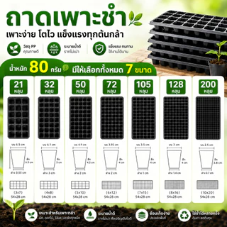 ถาดเพาะชำ รุ่นหนา 80กรัม ถาดเพาะกล้า ถาดเพาะเมล็ด ถาดเพาะชำ ขนาด 21 32 50 72 105 128 200 หลุม