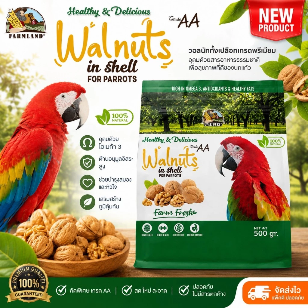 Farmland Walnuts in Shell (500g) Grade AA วอลนัททั้งเปลือกสำหรับนกแก้ว เกรดพรีเมียม สดใหม่ Omega3