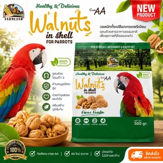 Farmland Walnuts in Shell (500g) Grade AA วอลนัททั้งเปลือกสำหรับนกแก้ว เกรดพรีเมียม สดใหม่ Omega3