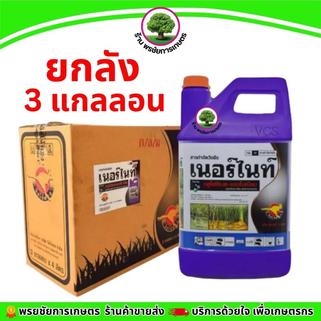 เนอร์ไนท์ขนาด4 ลิตรแกลลอน สีม่วง (ยกลัง แพ็คเก็จใหม่) 3 แกลลอน กลูโฟซิเนตแอมโมเนียม15% ตราจิงโจ้ทอง