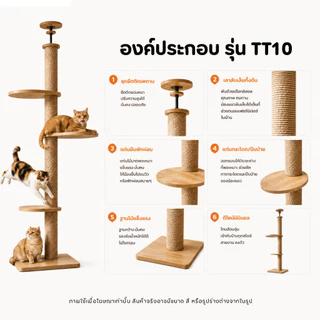 🐱[PetParadise.th]🐶คอนโดแมวติดเพดาน แท่นเสาปีนป่าย เหมาะกับเพดานสูง 260-320cm เพิ่มความสูงได้
