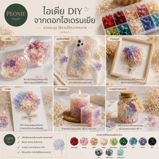 ดอกไฮเดรนเยียแห้ง Preserved Hydrangea กลีบดอกไม้แห้ง DIY เรซิ่น เทียนหอม ตกแต่งการ์ด ดอกไม้พรีเสิร์ฟ (โทนเย็น)