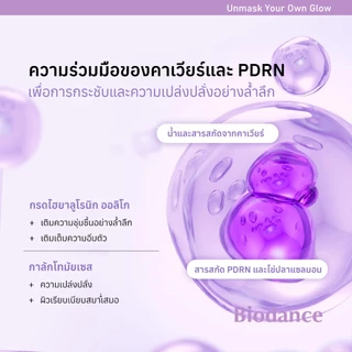 มาส์กหน้า BIODANCE คาเวียร์ PDRN เนื้อเจล ใช้ค้างคืน ฟื้นฟูผิวให้เต่งตึง กระจ่างใส 1 กล่อง 34g (4 ชิ้น)