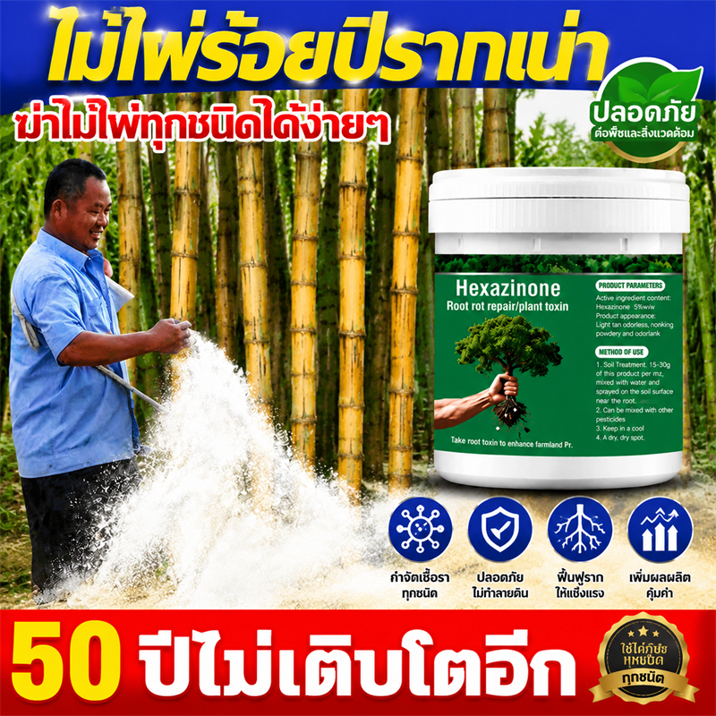 💥500% รากไม้เน่า ยาฆ่าหญ้า ยาฆ่าต้นไม้ใหญ 500g รากเน่ารากไม่ขึ้นอีก ยาฆ่าตอไม้ สารกําจัดกอไผ่ แบบผง สานกำจัดกอไผ่ วัชพืช