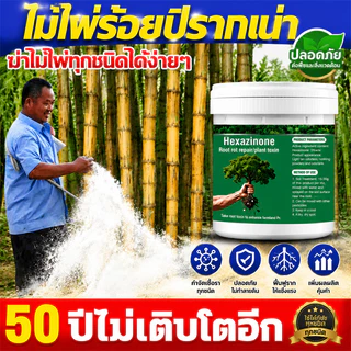 💥500% รากไม้เน่า ยาฆ่าหญ้า ยาฆ่าต้นไม้ใหญ 500g รากเน่ารากไม่ขึ้นอีก ยาฆ่าตอไม้ สารกําจัดกอไผ่ แบบผง สานกำจัดกอไผ่ วัชพืช