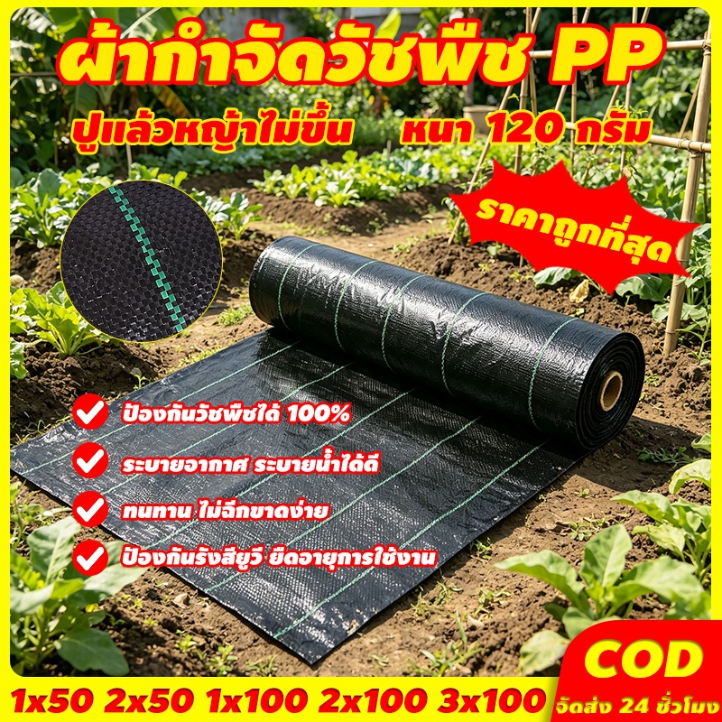 พลาสติกคลุมดิน ผ้าคลุมหญ้า พลาสติกคลุมวัชพืช กำจัดวัชพืช พลาสติกเกรดส่งออก ผสมUV ฆ่าหญ้า เห็นผลไวถายใน