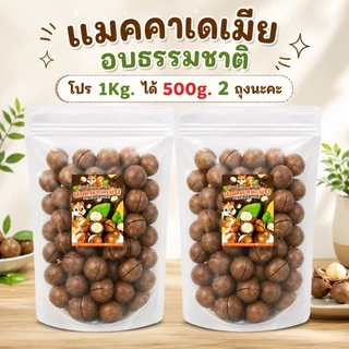 แมคคาถุงจัมโบ้ แมคคาเดเมีย 1 กิโลกรัม ได้500กรัม2ถุงนะคะ เม็ดใหญ่ เปลือกบาง เนื้อเยอะ เนื้อเบียดเปลือก