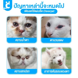 [ส่งฟรี🇹🇭] Cleverpet แผ่นเช็ดสุนัขและแมว 130 แผ่น แผ่นเช็ดตาแมว สุนัข ผ้าเช็ดทำความสะอาดเปียก eye wipes